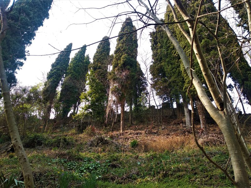 File:Porzione di muro.jpg