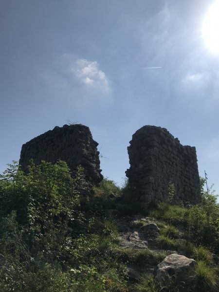 File:Turris nigra.jpg