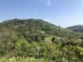Monte Altare.jpg