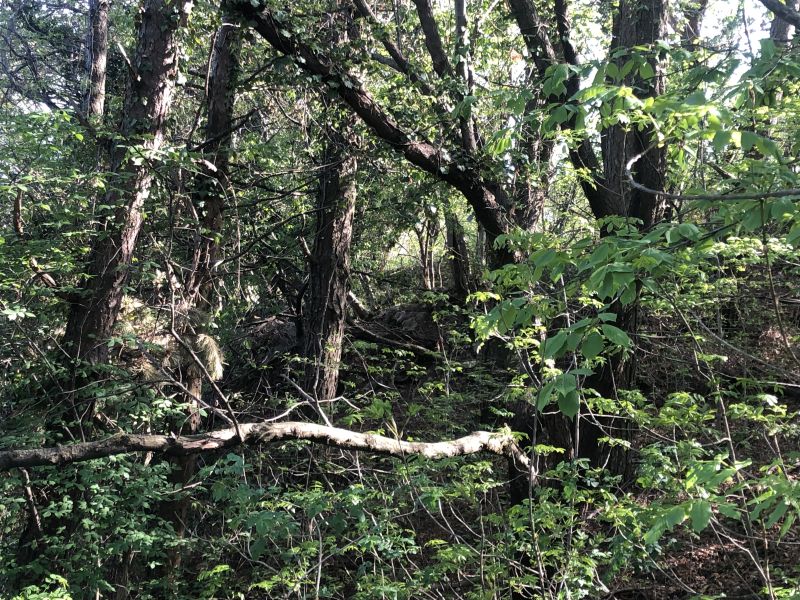 File:420 muretto.jpg
